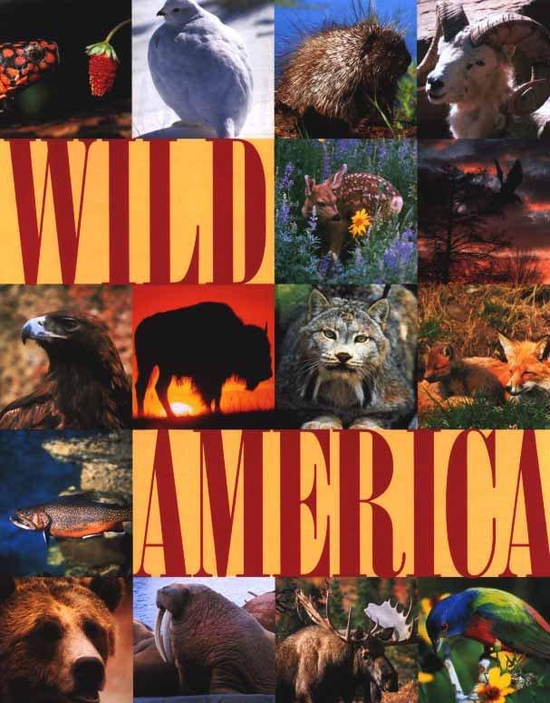 Wild America TV Series
