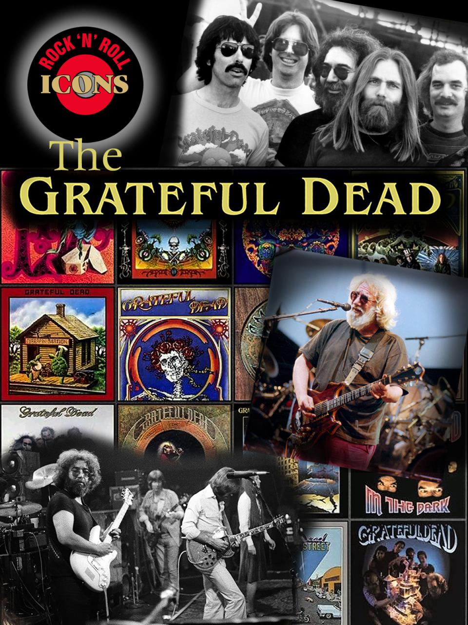 Rock 'n Roll Icons: The Grateful Dead